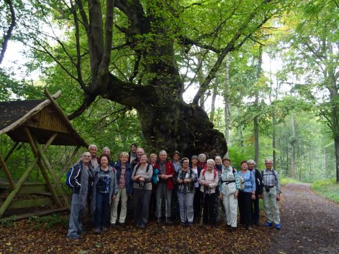 kopie-von-av-frankenhausen-05_bildgroesse-aendern